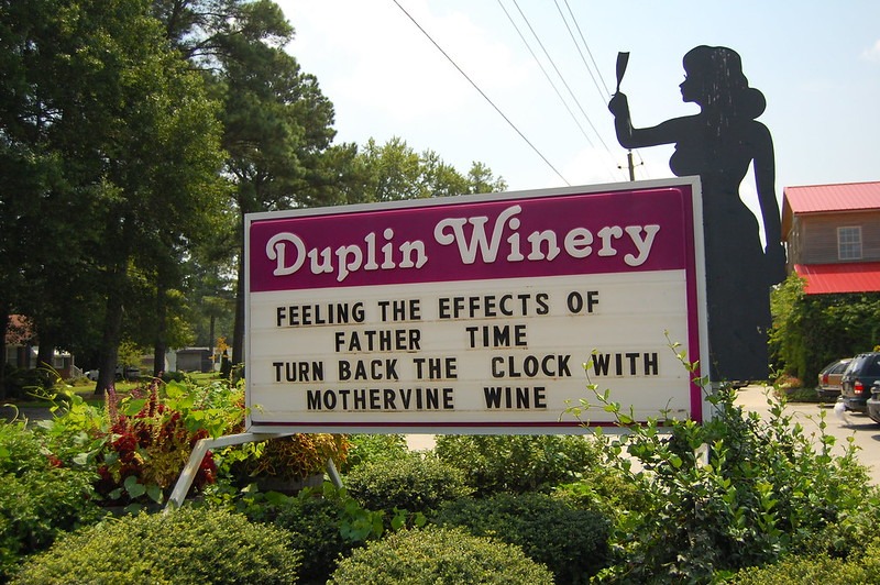 Visiting Duplin Winery in North Myrtle Beach image thumbnail